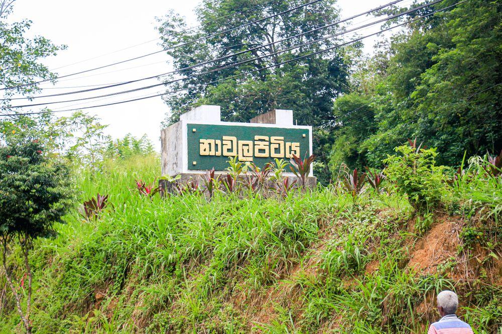 nawalapitiya ඡායාරූපය