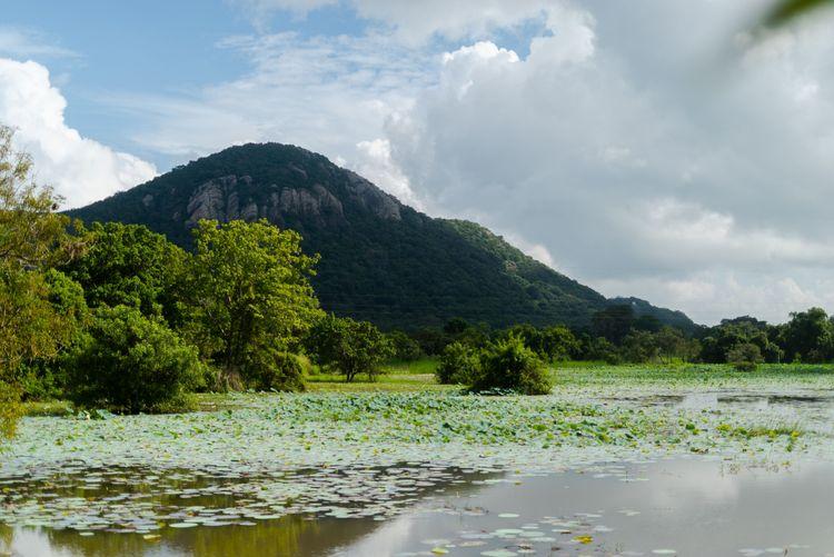 castlereagh-resevoir-hatton ඡායාරූපය