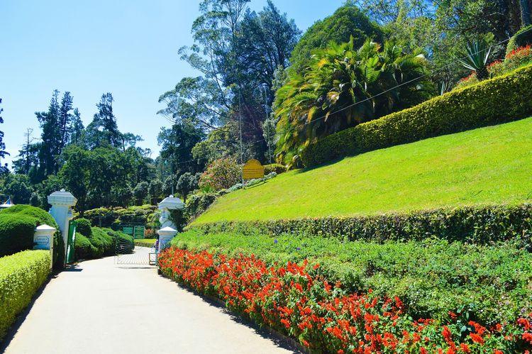 hakgala-botanical-gardens