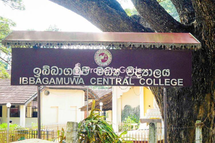 ibbagamuwa-central-college படம்