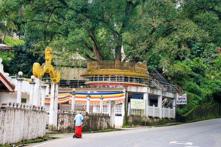 sri-sudharshanaramaya-kitulgala படம்