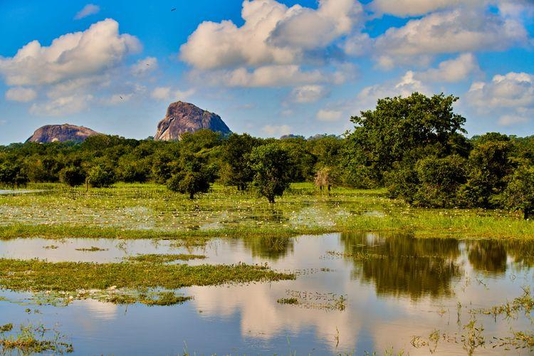 yala-national-park