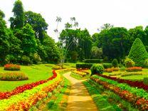 peradeniya-botanical-gardens