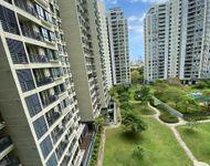 Luxury Apartment for rent in Colombo 5