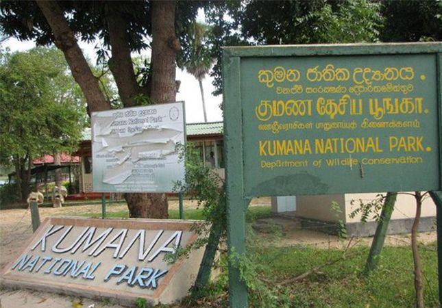 kumana-national-park ඡායාරූපය