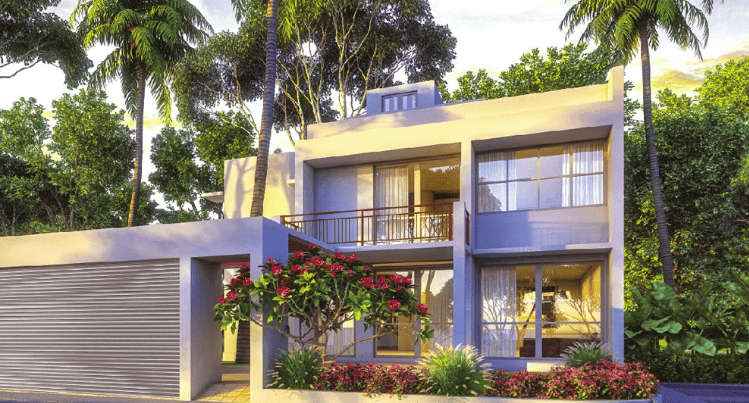 water-estate-moratuwa මොරටුව