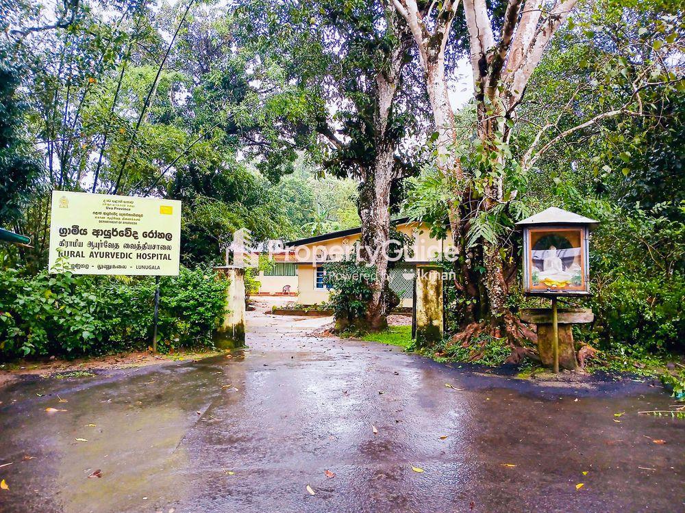 lunugala ayurveda hospital Image