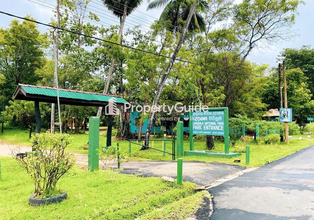 national park lahugala ඡායාරූපය