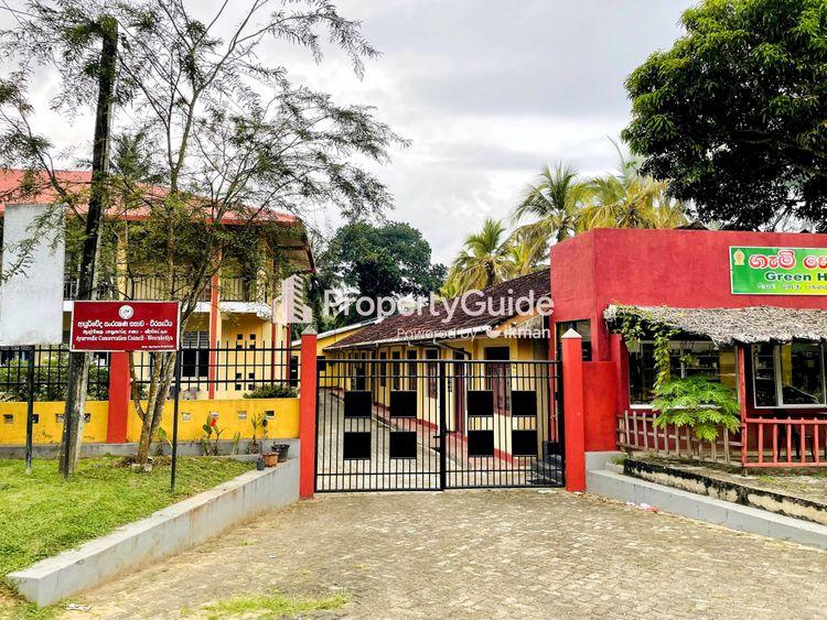 ayurvedic conservation council weeraketiya படம்