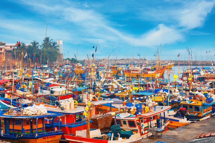 beruwala-fish-market படம்