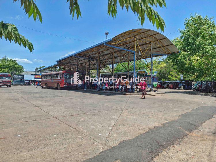 bus-stand-buttala Image
