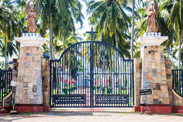 නාත්තන්ඩිය Property Guide