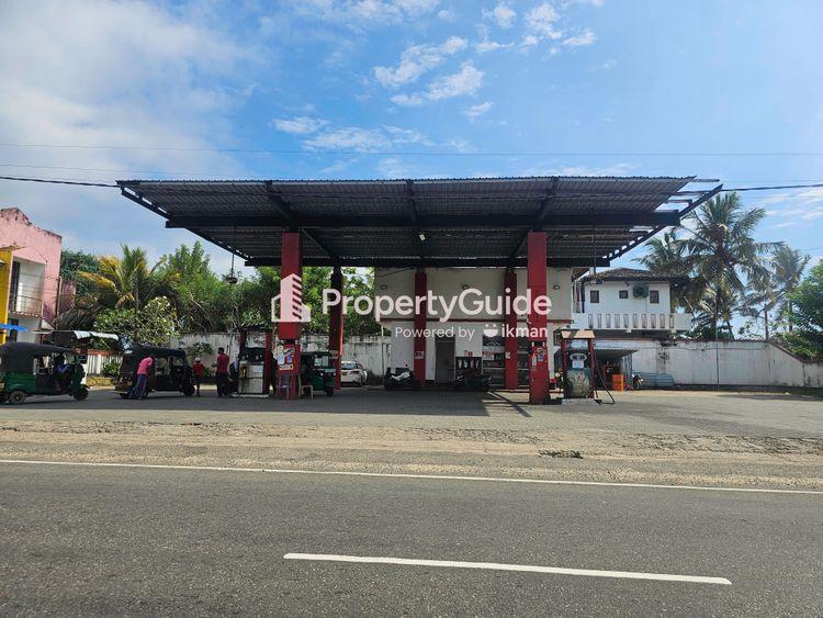 ceypectco-habaraduwa ඡායාරූපය