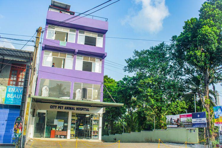 city-pet-animal-hospital படம்