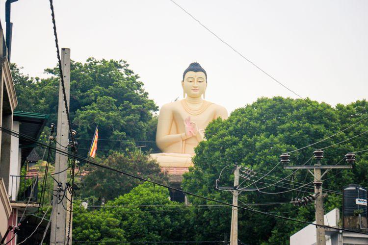 දිගන Property Guide