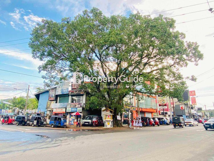 Eheliyagoda Property Guide