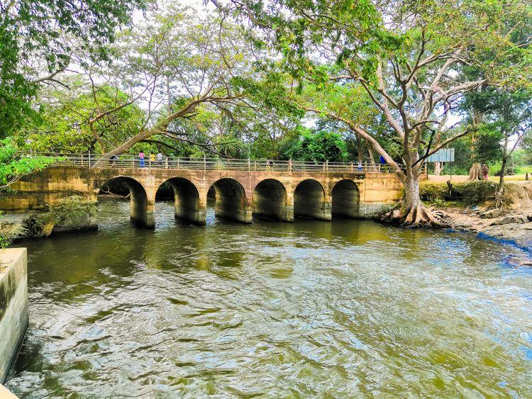 giant-s-lake-mannar ඡායාරූපය