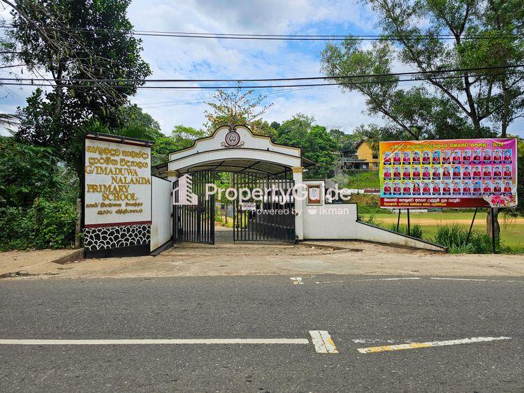imaduwa nalanda primary school ඡායාරූපය