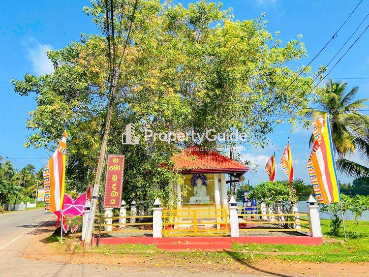 kamburugamuwa ඡායාරූපය