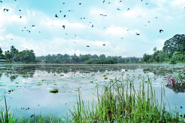 kesbewa-lake ඡායාරූපය