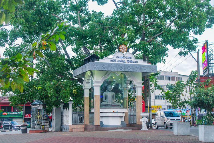 Kottawa Bodhi Tree.jpg කොට්ටාව kottawa-bodhi-tree කොට්ටාව