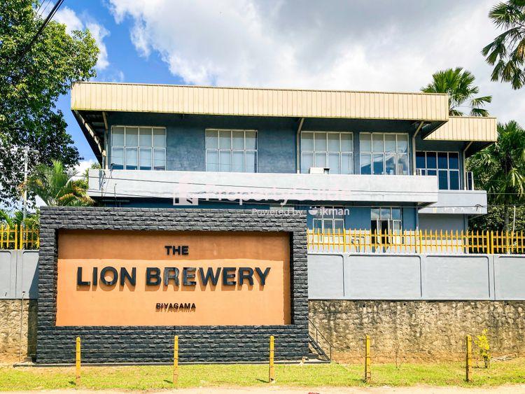 lion brewery biyagama ඡායාරූපය