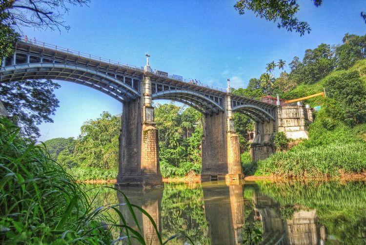 peradeniya-bridge ඡායාරූපය