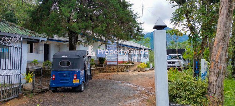 හල්දුම්මුල්ල Property Guide