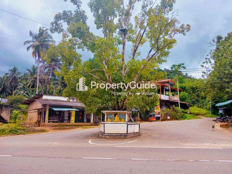 රිදිමාලියද්ද Property Guide