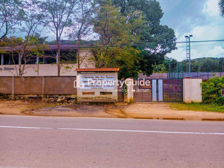 rideemaliyadda madya maha vidyalaya Image