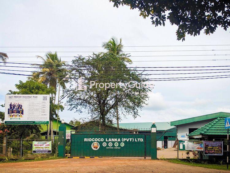 බමුණකොටුව Property Guide