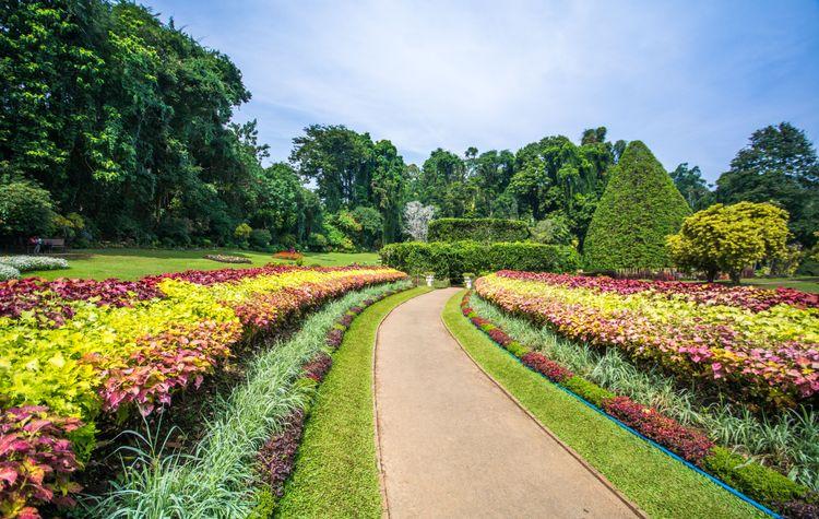 royal-botanical-gardens-peradeniya ඡායාරූපය