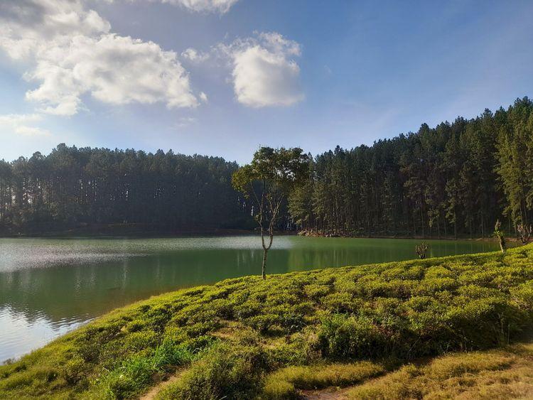 sembuwatta-lake ඡායාරූපය