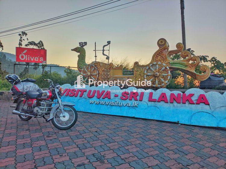 හපුතලේ Property Guide