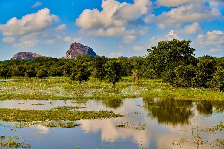 yala-national-park ඡායාරූපය