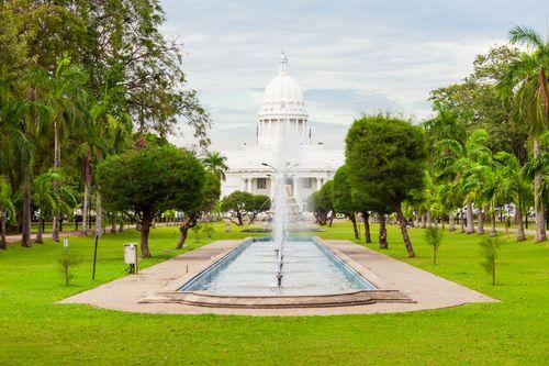 Colombo 7 Property Insights