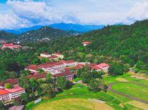 Peradeniya Property Insights