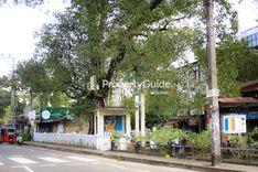 Baduraliya Property Insights