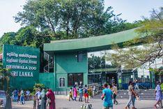dehiwala-zoo දෙහිවල