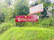 divisional-secretariat-kamburupitiya கம்புறுபிட்டிய