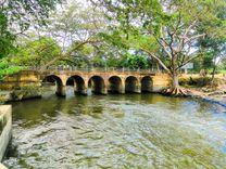 giant-s-lake-mannar මන්නාරම