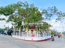 ஹக்மன Property Insights