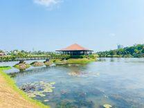 තලවතුගොඩ Property Insights
