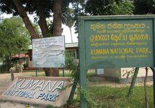 kumana-national-park අම්පාර