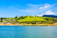 gregory-lake Nuwara Eliya