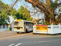 maharagama-bodhi-tree මහරගම