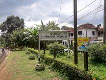 Matale Property Insights