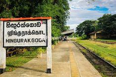 Hingurakgoda Property Insights