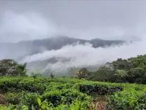 rakwana mountain, Rakwana