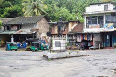 රත්තොට Property Insights